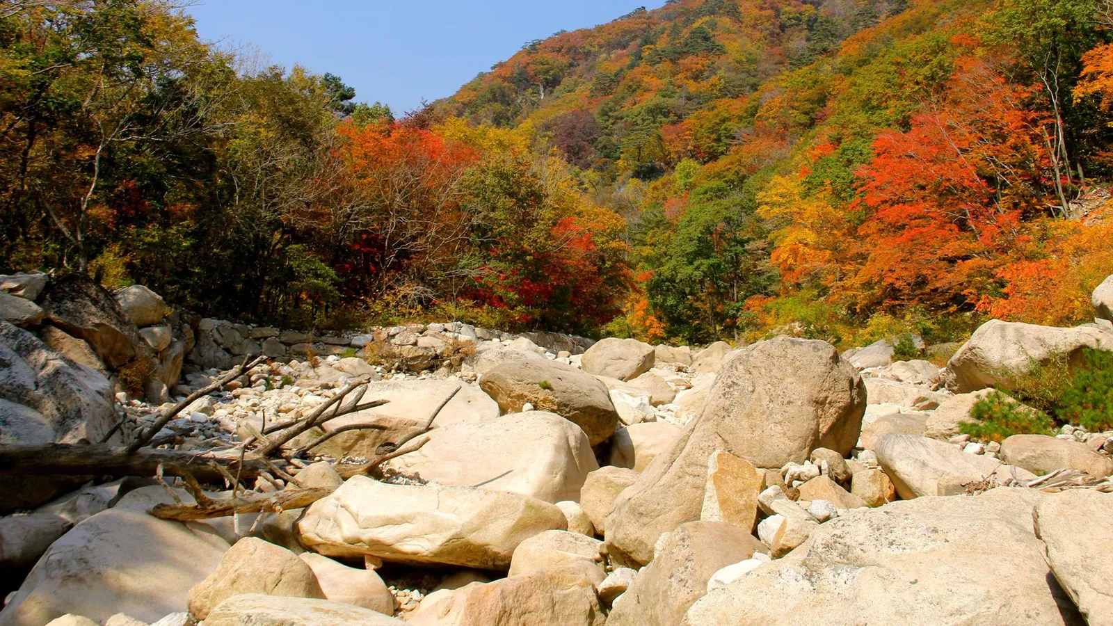 A boulder-strewn valley at Seoraksan with the hillsides blazing orange and red under a blue sky