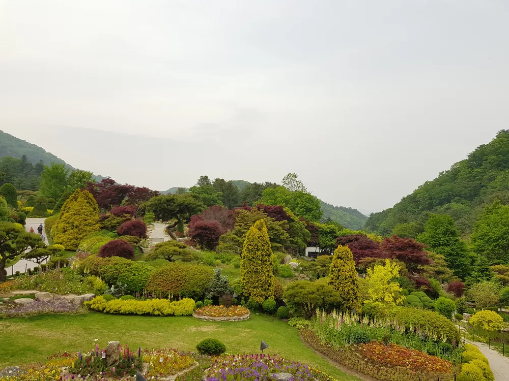Landscaped spring beds and clipped shrubs on a hillside at the Garden of Morning Calm