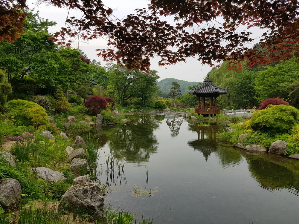 A small ornamental pond ringed by planting at the Garden of Morning Calm