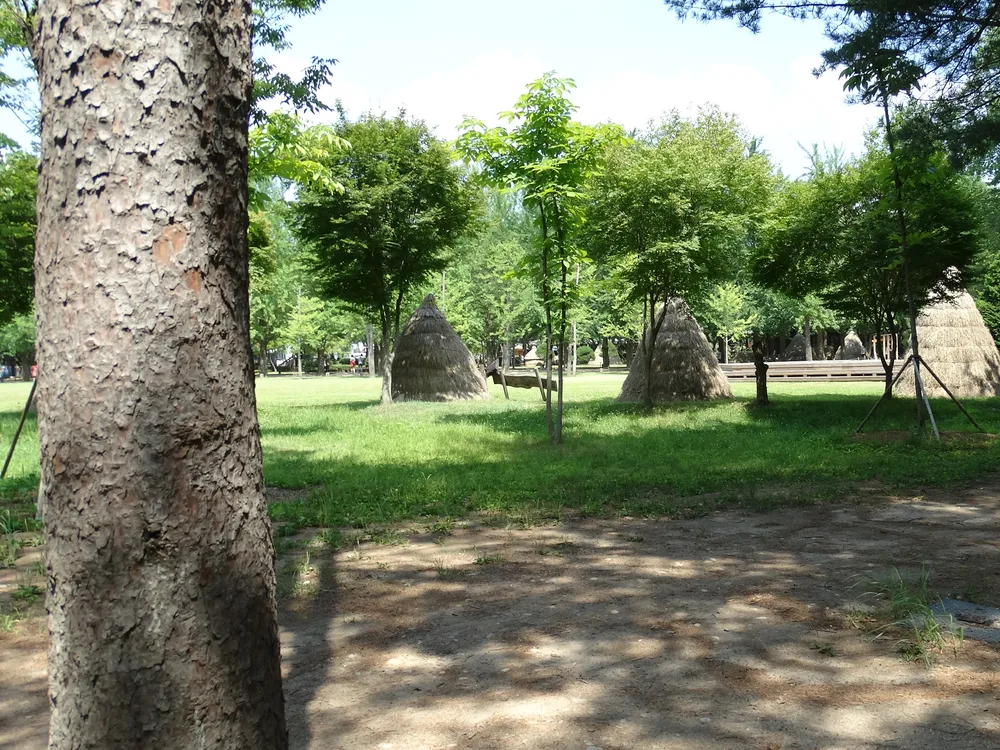 A green lawn with straw haystacks and fresh-leafed trees on Nami Island
