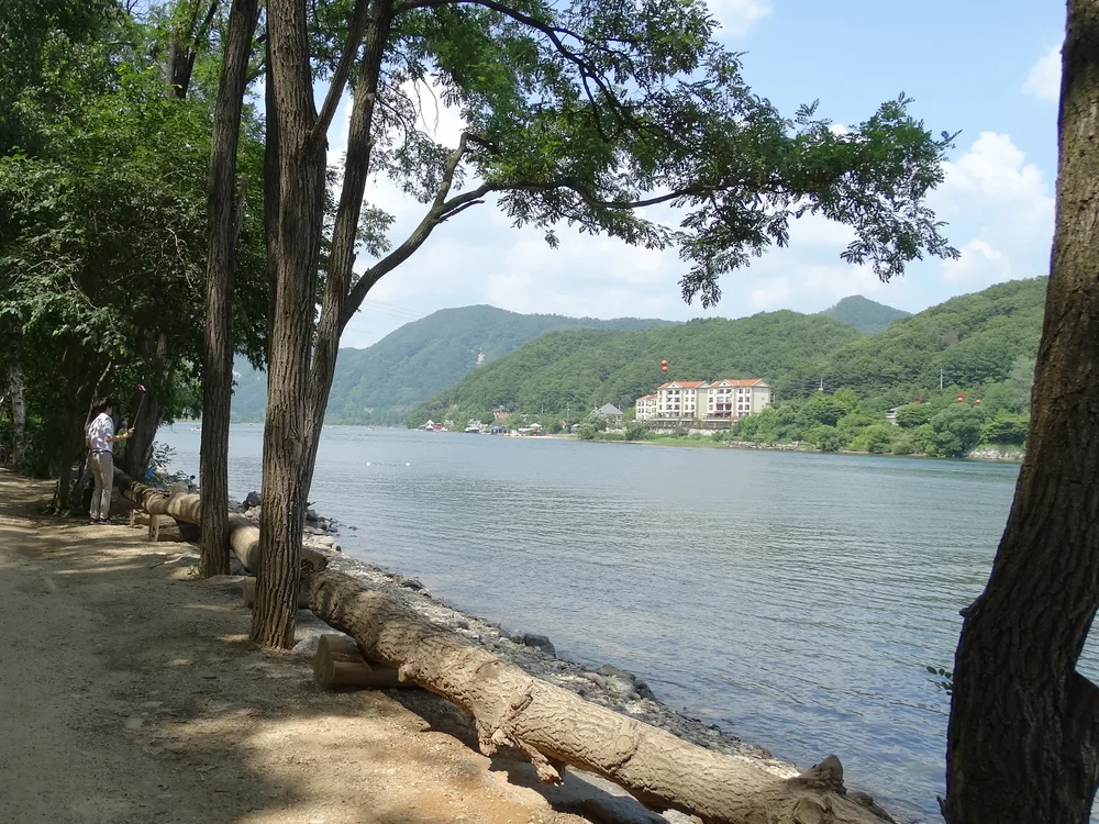 A shaded riverside path under full summer foliage on Nami Island, the river and green hills beyond